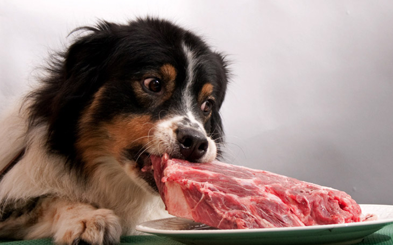 Мясо для собак