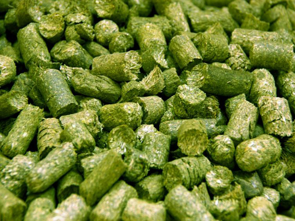 Трава в гранулах клевер