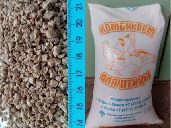 Для кур-несушек