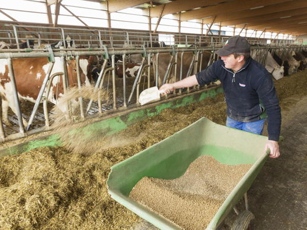 Характеристики комбикорма