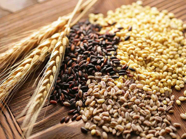 рецепты комбикорма