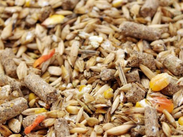 компоненты комбинированного питания животных