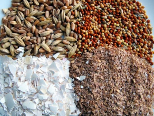 контролируемые параметры в рецептах комбикорма