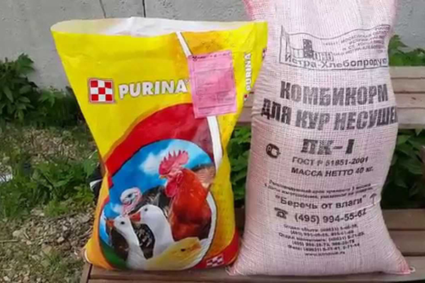 концентраты для кур