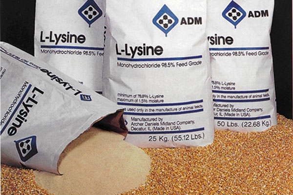 комбикорм в Ивантеевке