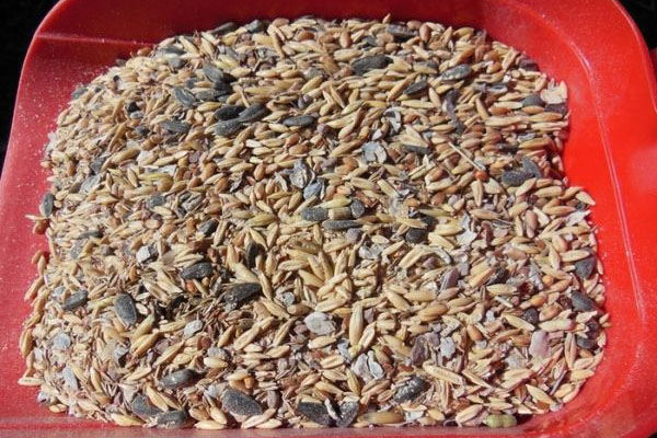 комбикорм в Ивантеевке