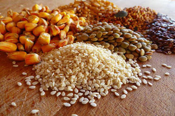 комбикорм в Ивантеевке