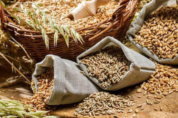 комбикорм в Ивантеевке