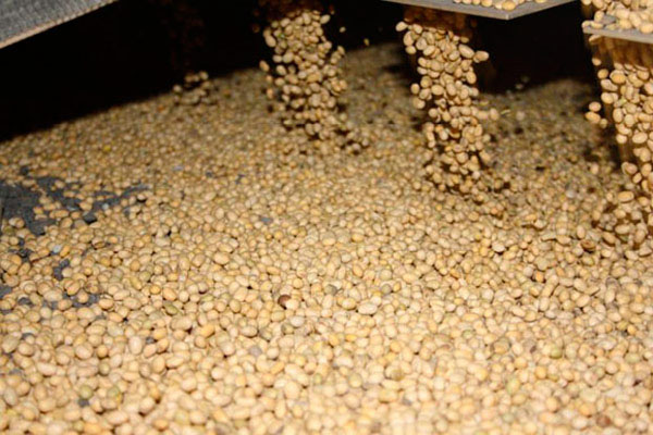 комбикорм в Ивантеевке