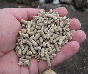 комбикорм в кроликов