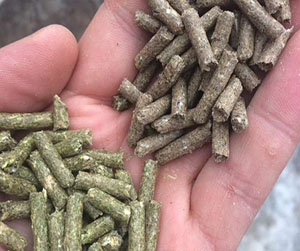 комбикорм в кроликов