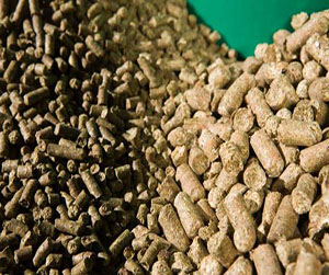 комбикорм в кроликов