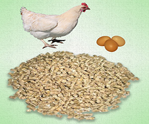 оформление заказа на комбикорм для кур