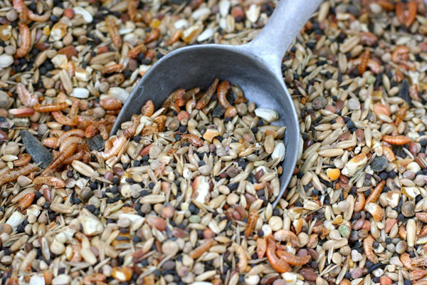 комбикорм в Мытищах