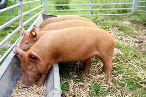 комбикорм в Мытищах