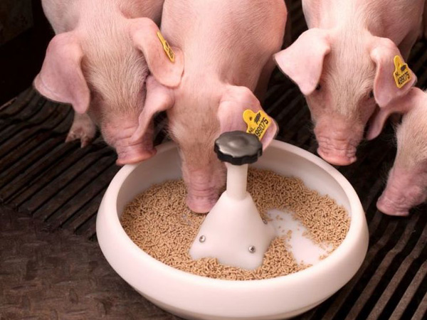 комбикорм в Мытищах