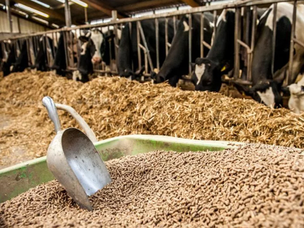 кормовая смесь К-63 для удойных коров в Мытищах