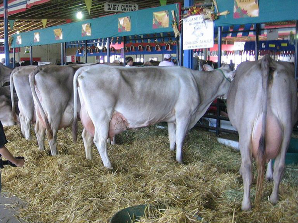 гранулированая смесь к-63 в Мытищах