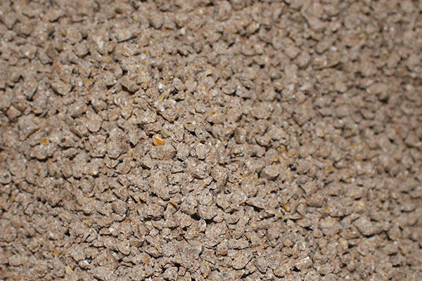 комбикорм в Пушкино