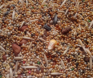 комбикорм в Щелково