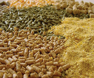 комбикорм в Щелково