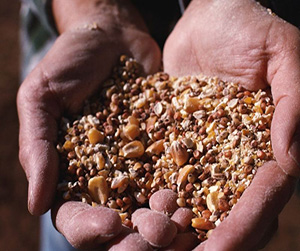 комбикорм в Щелково