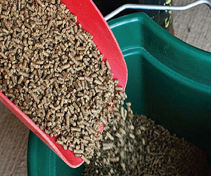 комбикорм в Щелково