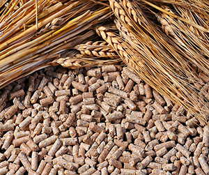 Сырье для производства комбикормов