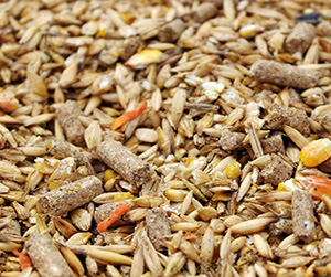 питание для кур