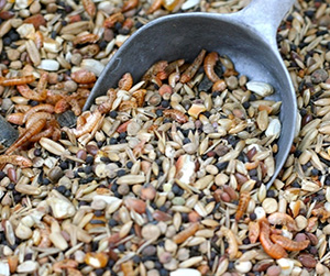 корма для кур