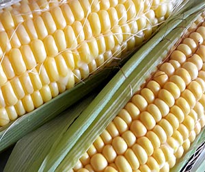 Кукуруза