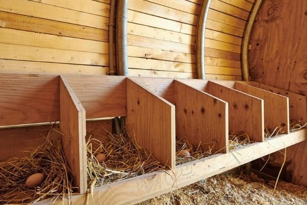 Насест для кур