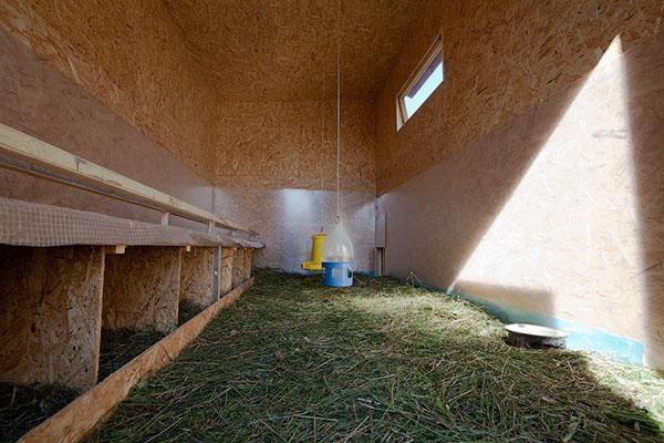 Размер птичника и температура