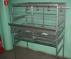 Клетки для куриц-несушек