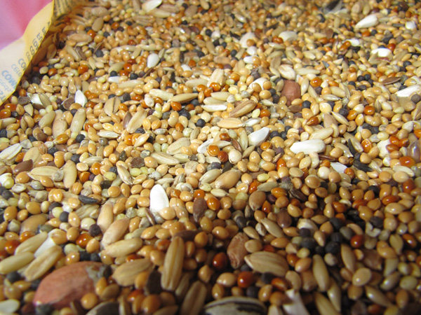 Кормовые смеси в Мытищах