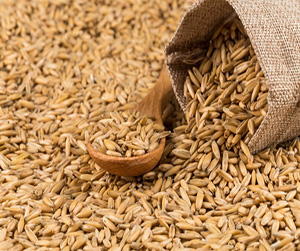 овес в Ивантеевке