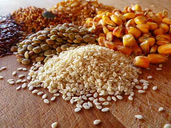 Питание для кур