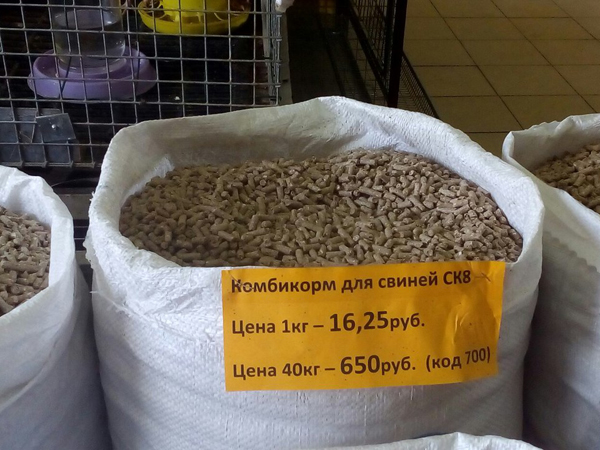 рацион свиней