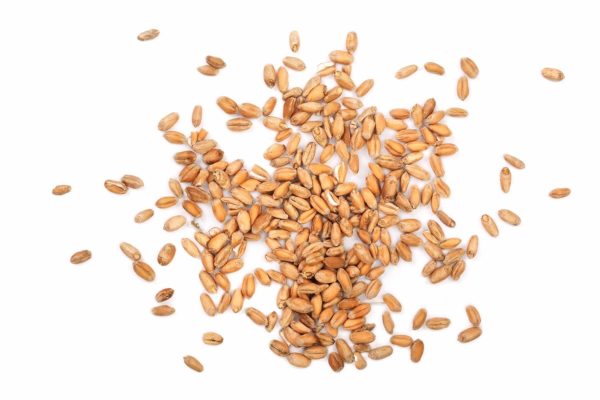 Пшеница в Щелково