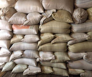 Пшеница фуражная в Пушкино