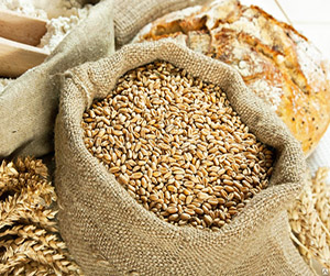 Пшеница кормовая
