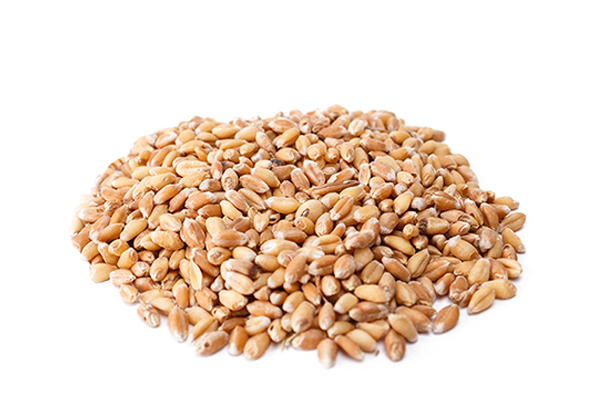 пшеница в Щелково