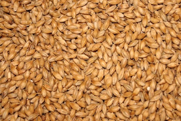 пшеница в Щелково