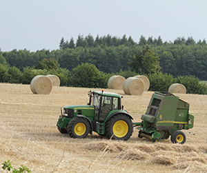 пшеница в Ивантеевке