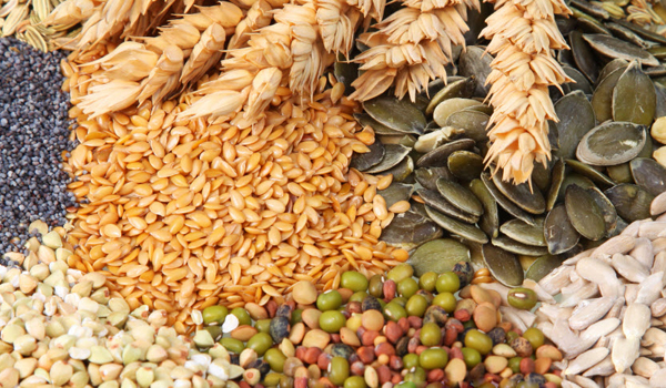 Кормовые смеси в Пушкино