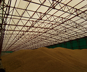 Зернохранилища в Щелково