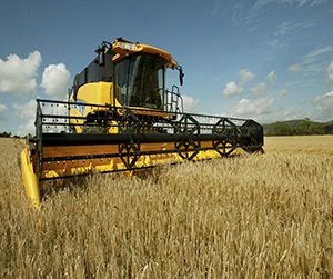 Заготовки зерновых культур в Щелково