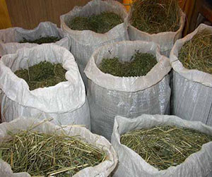 смеси насыпью