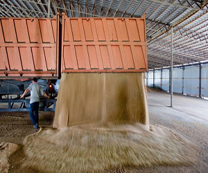 Зернохранилища в Ивантеевке