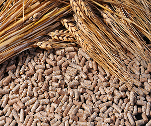 зерно в Ивантеевке